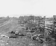 Confederate dead along Hagerstown Pike. Library of Congress Prints & Photographs Division.