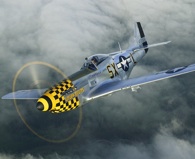 P-51 Mustang. Photo by John M. Dibbs.