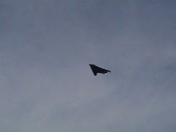 Stealth Fighter