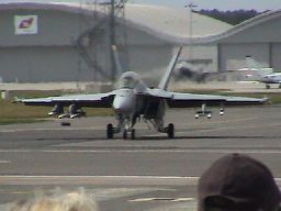 Super Hornet