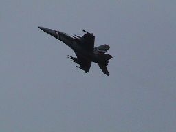 Super Hornet