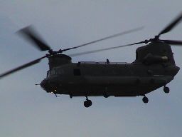 Chinook