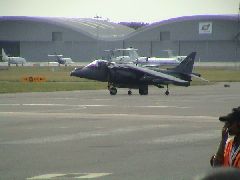 Harrier