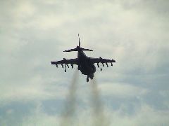 Harrier