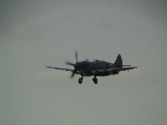 Spitfire