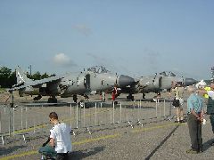 Harriers