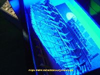 Mary Rose.