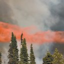 Where’s There’s Smoke, There’s Fire – â€œSmokejumpersâ€ Board Game Review