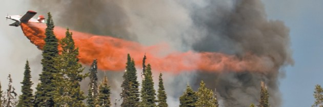 Where’s There’s Smoke, There’s Fire – â€œSmokejumpersâ€ Board Game Review