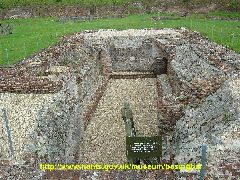 Cellar