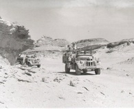 Long Range Desert Group