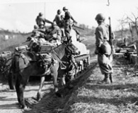 The 10th Mountain Division advancing in Italy, 1945.