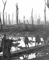 Chateau Wood, Ypres in 1917. (National Archives)
