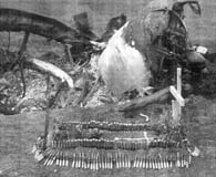P-47 wreck and pilot grave. (National Archives)