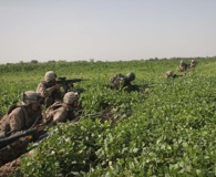 Afghan national army soldiers and U.S. Marines with Company E, 2nd Battalion, 8th Marine Regiment, return fire after Taliban insurgents ambushed their patrol Aug. 13. The six-hour fight was the longest since July 4 here. Photo by Marine 1st Lt. Kurt Stahl.