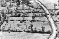 1944. U.S. tanks burst through hedgerows northwest of Saint-L&ocirc; as a pair of destroyed German Panther tanks sit along the road to the right.