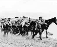 1942. A Hungarian infantry column, using mainly horse-drawn transportation, progresses toward the Don river.