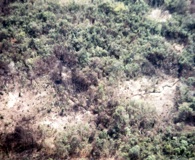 Communist trenches uncovered by defoliant spraying. U.S. Air Force photo. Click to enlarge.