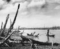 Denuded banks along a river in South Vietnam.