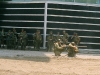 09-gi-reenactors-with-antitank-weapon.jpg