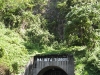 img-0826-v.jpg