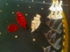 07-damaged-britis-warship