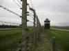 05-the-wire-perimeter-of-auschwitz                               