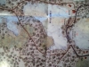 map-detail2