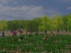 confederate-artillery-in-cornfield