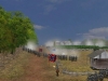fight-at-farm