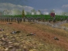 into-the-cornfield