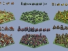 villages